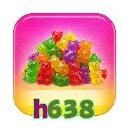 h638
